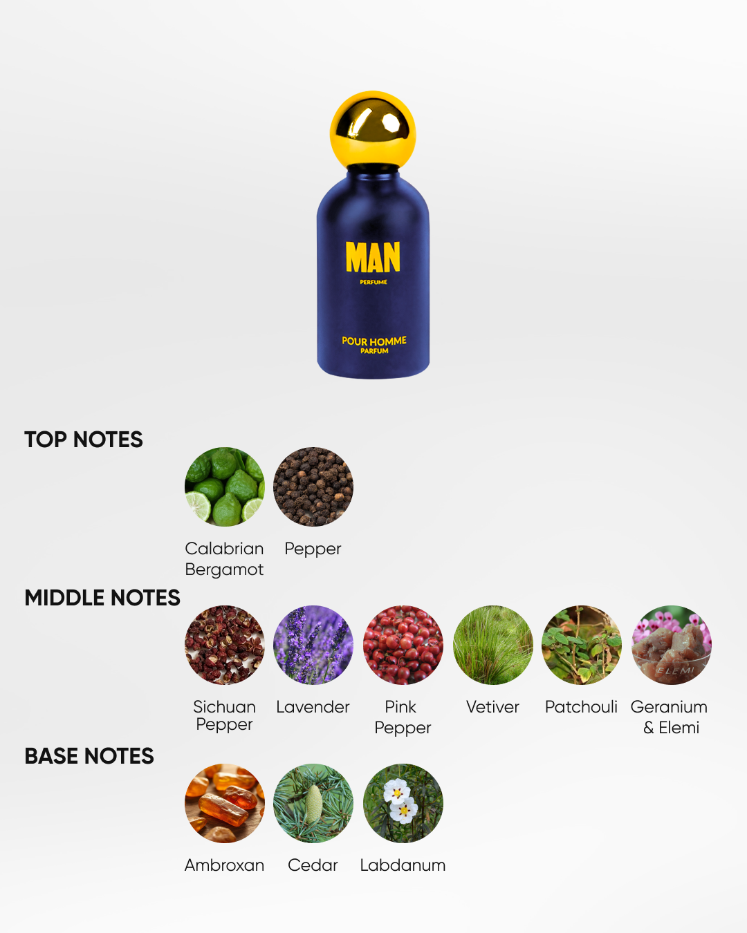 The Man Perfume Royals