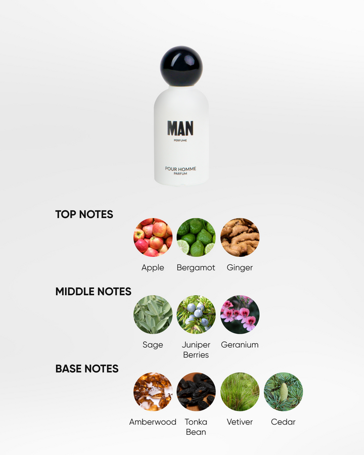 The Man Perfume Pure 100ml