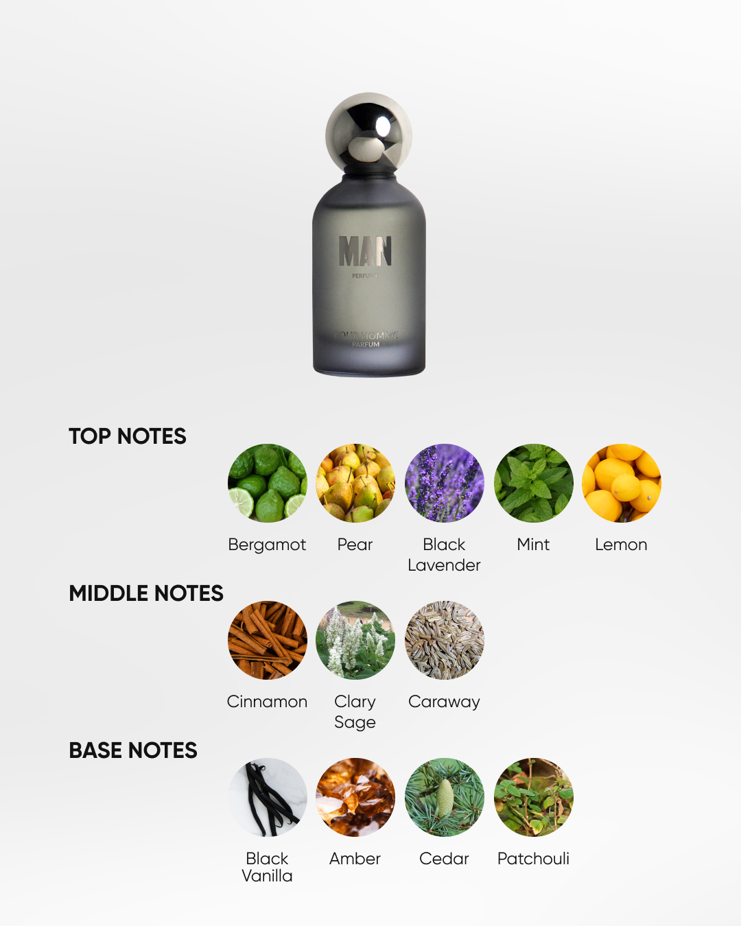 The Man Perfume Lure