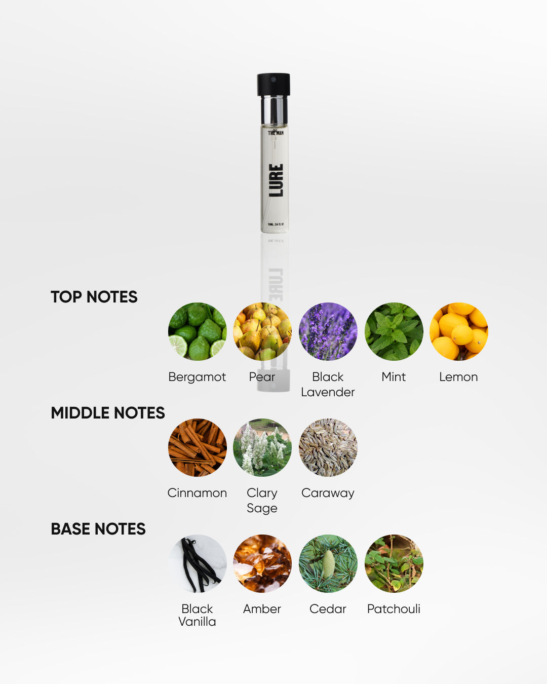 THE MAN Perfume Lure 10 ML (NEW)