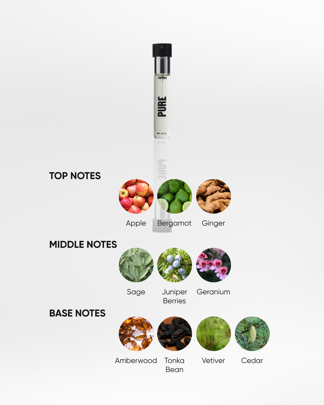 THE MAN Perfume Pure 10 ML (NEW)