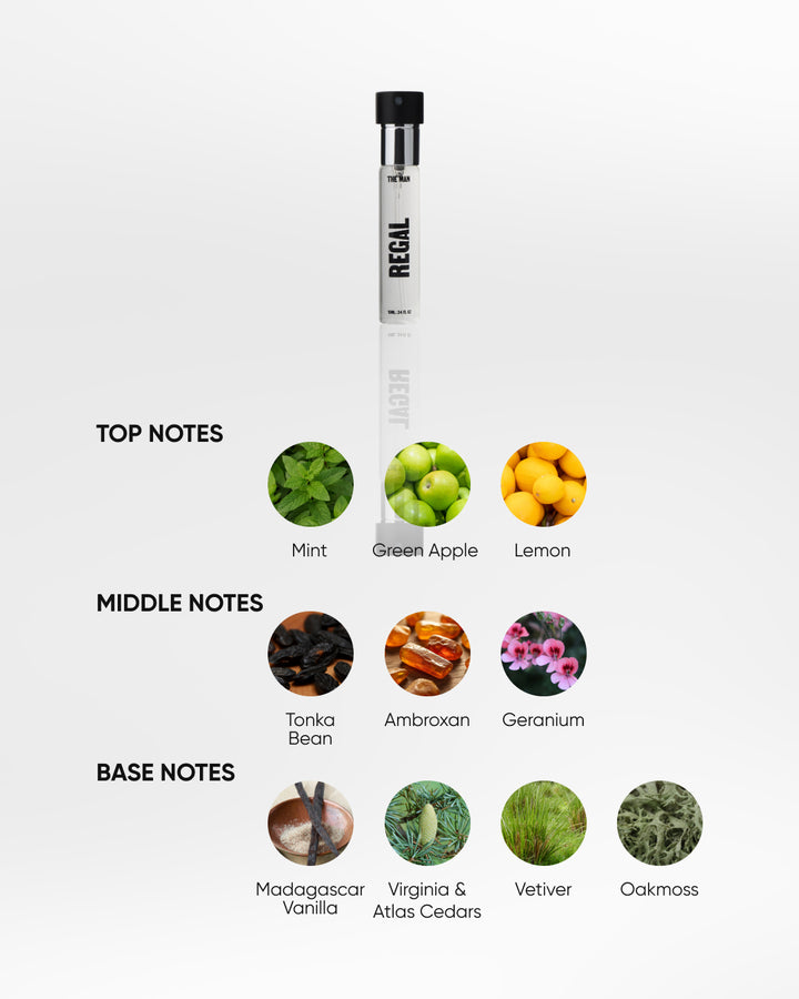 THE MAN Perfume Regal 10 ML (NEW)